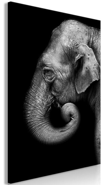Quadro Portrait of Elephant (1 Part) Vertical