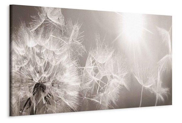 Quadro Summer Dandelions