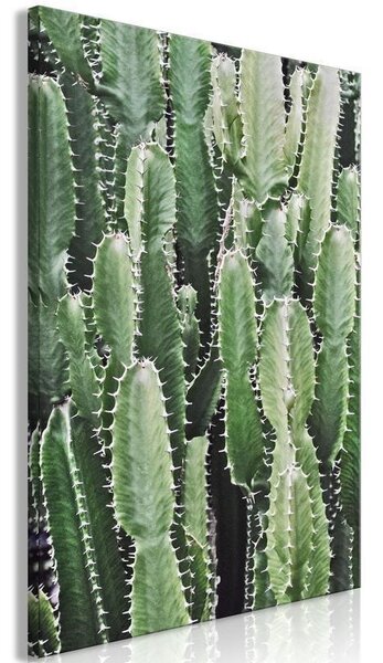Quadro Cactus Garden (1 Part) Vertical