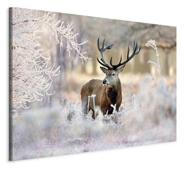 Quadro Deer in the Cold
