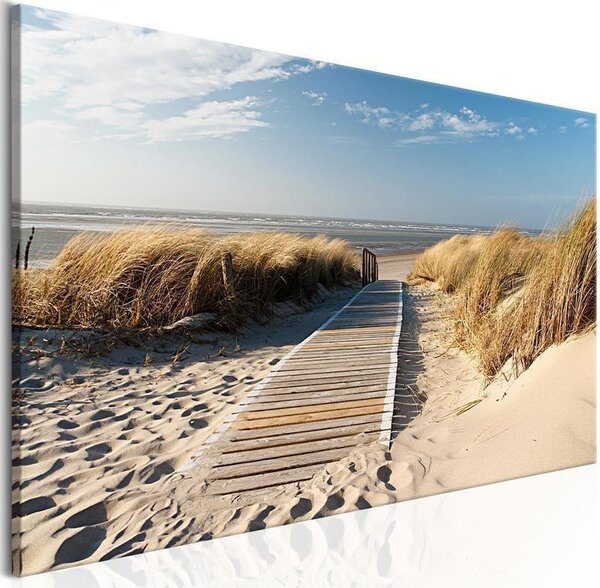 Quadro Spiaggia selvaggia