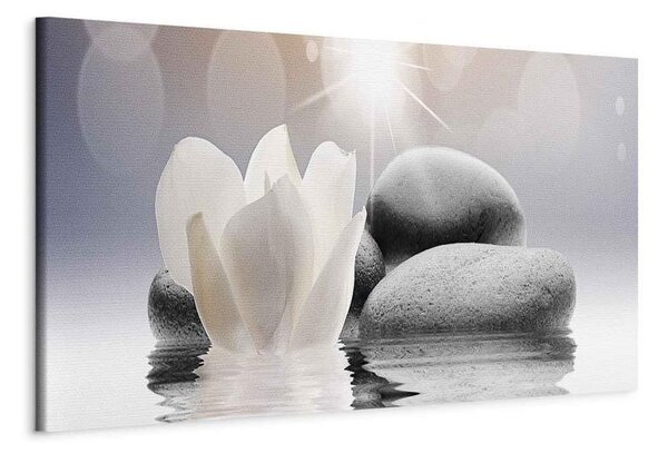 Quadro Pebbles in Water (1 Part) Narrow