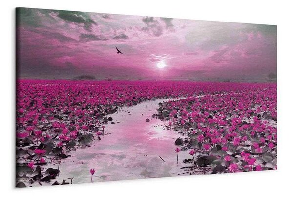 Quadro Lilies and Sunset (1 Part) Narrow
