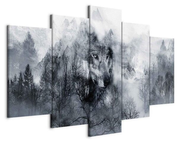 Quadro Mountain Predator (5 Parts) Wide