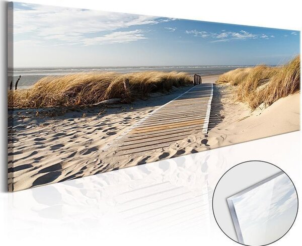 Quadri su vetro acrilico Wild Beach [Glass]