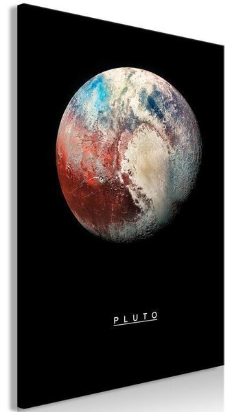 Quadro Pluto (1 Part) Vertical