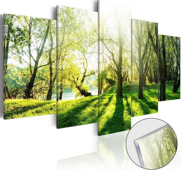 Quadri su vetro acrilico Green Glade [Glass]