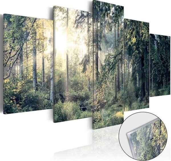 Quadri su vetro acrilico Fairytale Landscape [Glass]