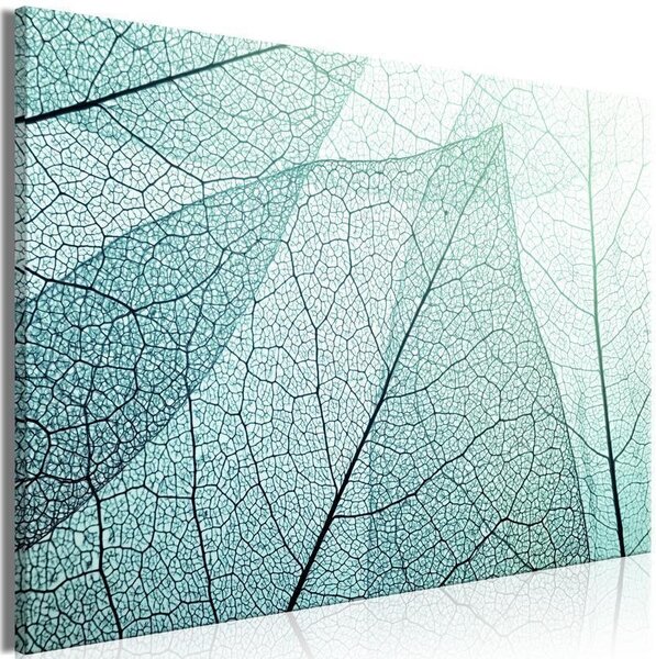 Quadro - Macroflora (1 Part) Wide