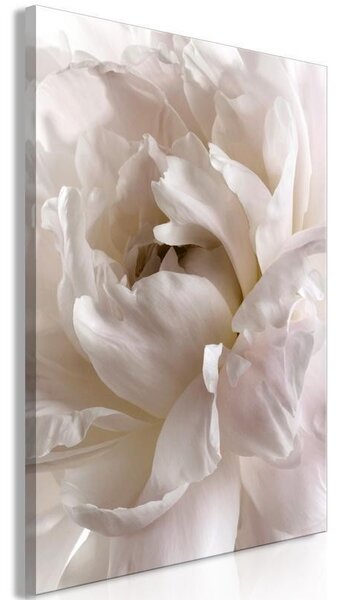 Quadro - Fluffy Distraction (1 Part) Vertical