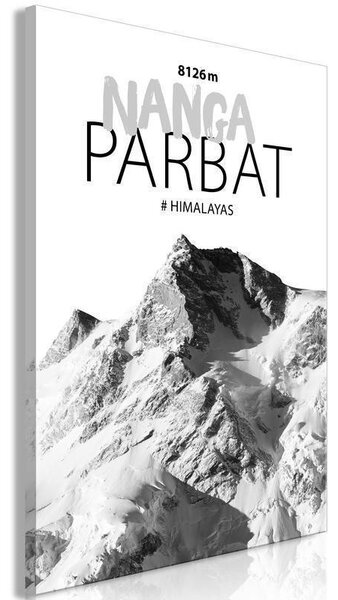 Quadro - Nanga Parbat (1 Part) Vertical