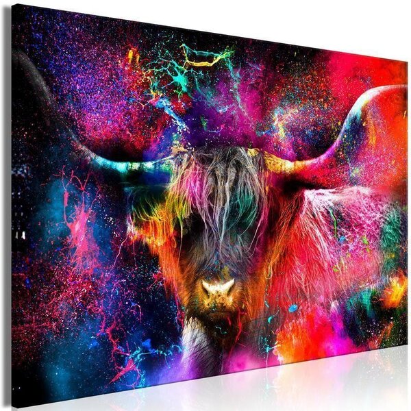 Quadro - Colorful Bull (1 Part) Wide