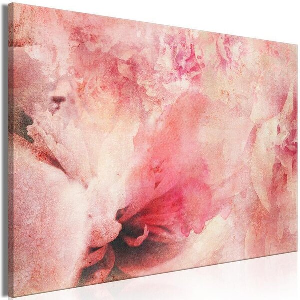 Quadro - Pink Etude (1 Part) Wide