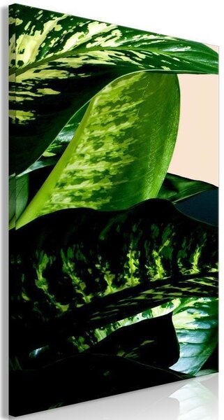 Quadro - Dieffenbachia (1 Part) Vertical