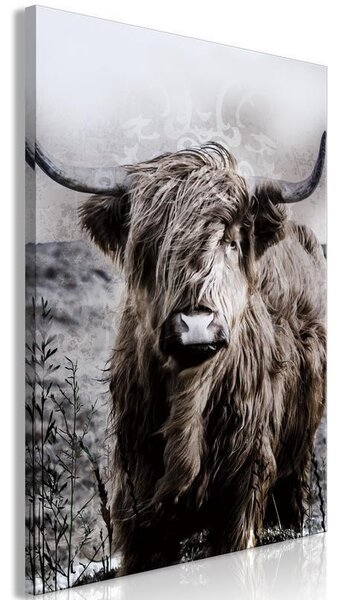 Quadro - Highland Cow in Sepia