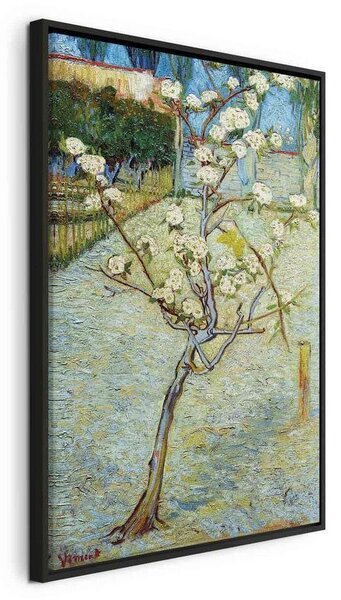 Quadro - Blossoming Pear Tree