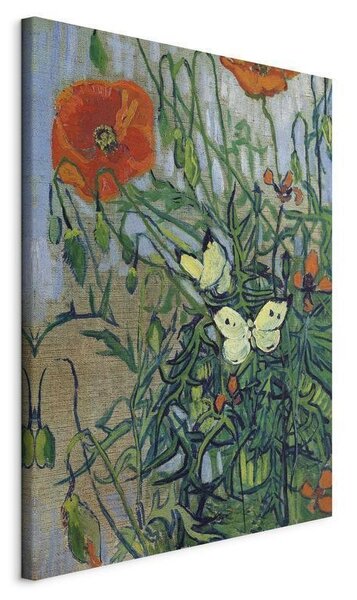 Quadro - Poppies and Butterflies