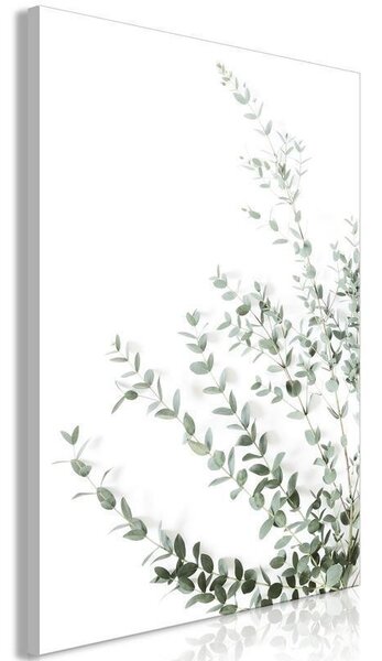 Quadro - Eucalyptus Parvifolia (1 Part) Vertical
