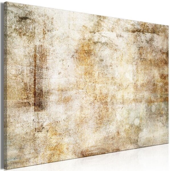 Quadro - Wildness in Exile (1 Part) Wide