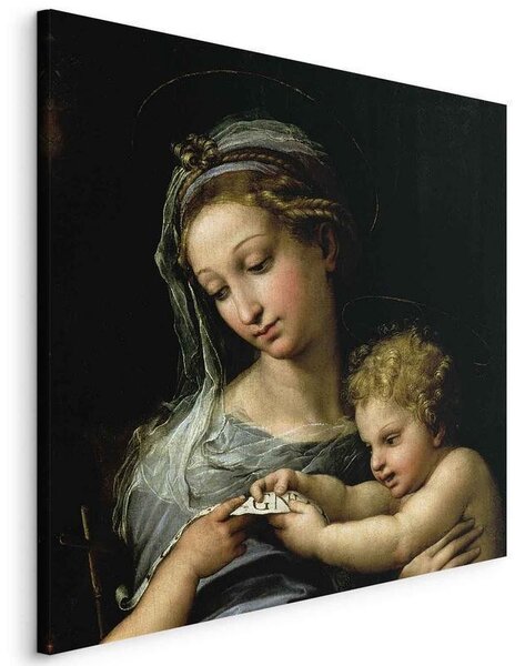 Quadro - The Virgin of the Rose (Rafael Santi)