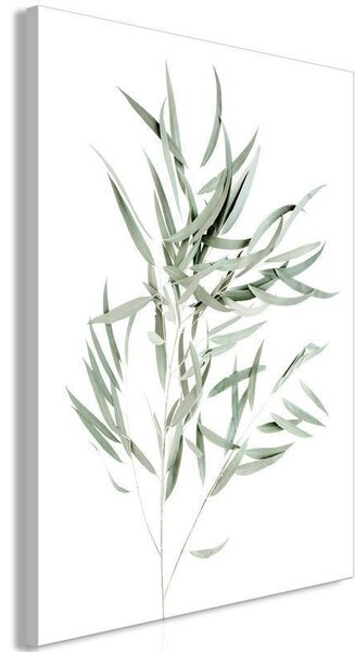 Quadro - Nicholia Eucalyptus (1 Part) Vertical