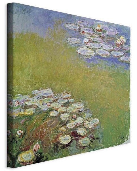 Quadro - Water Lilies (Claude Monet)
