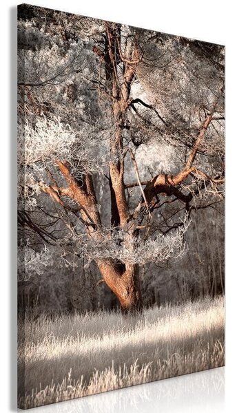 Quadro - My Story (1 Part) Vertical