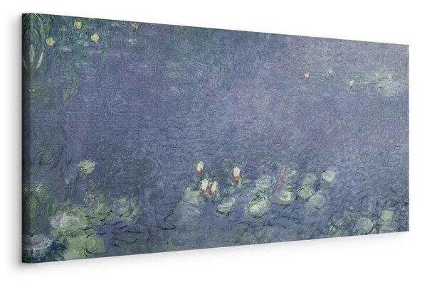 Quadro - Water Lilies (Water Lilies) III