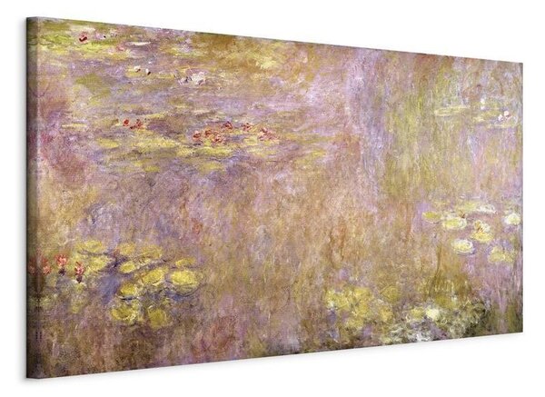 Quadro - Water Lilies (Water Lilies) II
