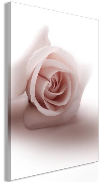 Quadro - Floral Glamour Glow (1-part) - Delicate and Pastel Pink Rose