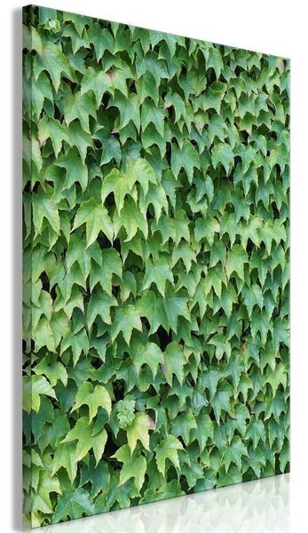 Quadro - Thick Ivy (1 Part) Vertical