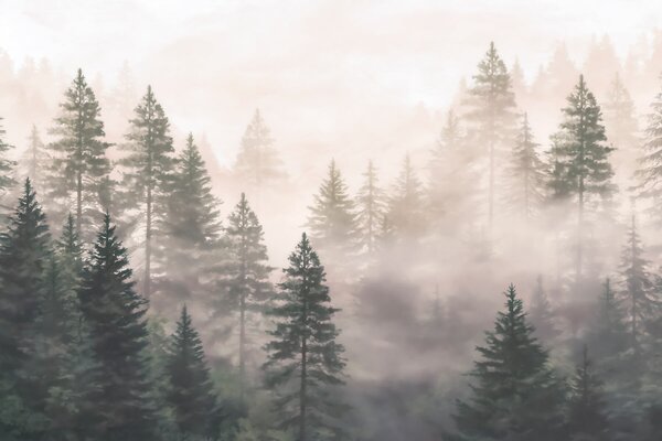 Carta da parati Foresta di conifere avvolta dalla nebbia, dai toni del verde scuro, in stile acquerello, Carta da parati Buffer, w09929 : Uwalls.it