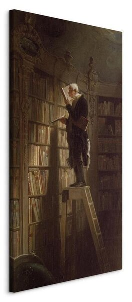 Quadro - The Bookworm