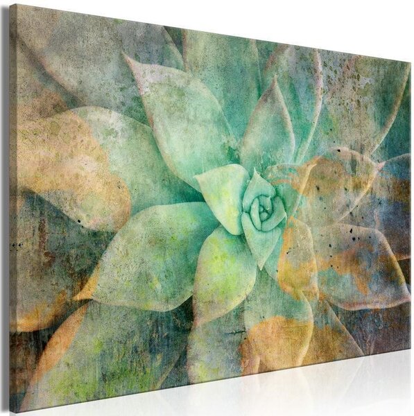 Quadro - Blooming Tones (1 Part) Wide