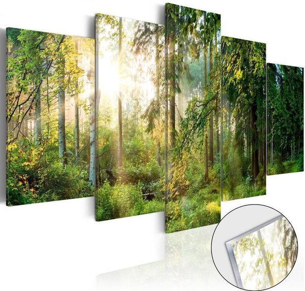 Quadro su vetro acrilico - Green Sanctuary