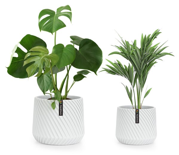 Fox & Fern Heusden - Fioriera, set da 2 pz., polystone, ideale per le piante, realizzata a mano, effetto 3D