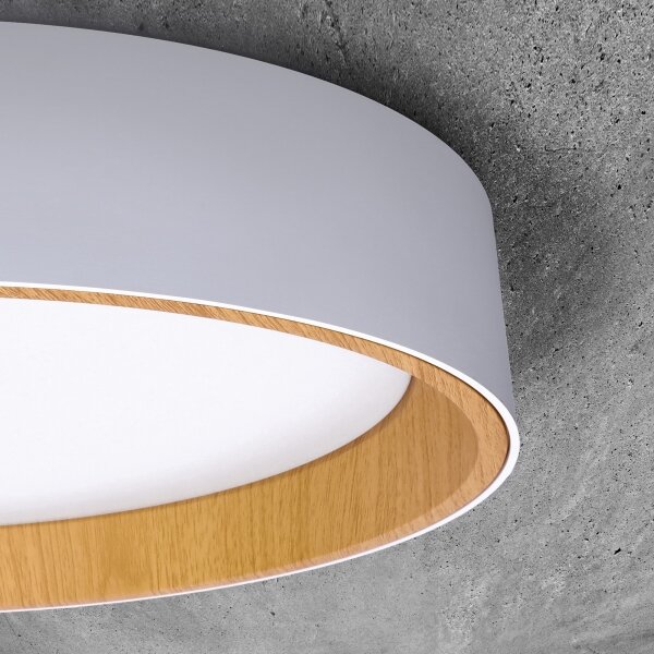 Solight WO8017 - Plafoniera LED dimmerabile LARIOS LED/48W/230V+RC diametro 39 cm bianco
