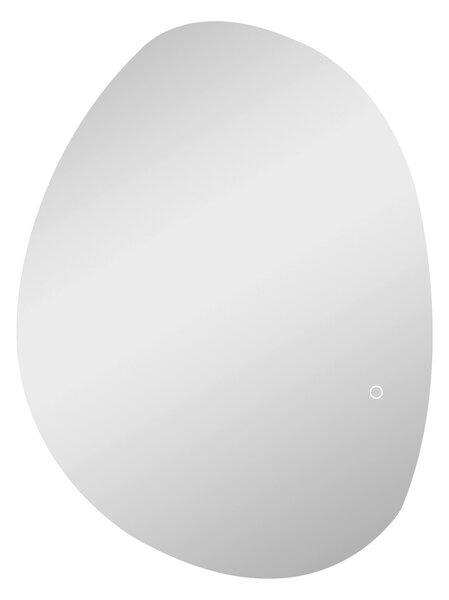 HOMCOM Specchio da Bagno Illuminato a LED con Colore e Temperatura Regolabile, in Vetro Temperato, 80x5x60 cm, Argento