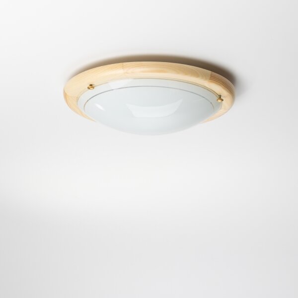 Rabalux 5411 - Plafoniera UFO 1xE27/60W/230V