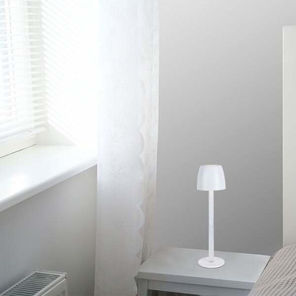 LED Lampada da tavolo ricaricabile dimmerabile LED/3W/5V 3000K bianco