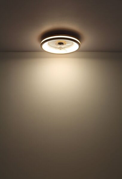 Globo 03650 - Plafoniera LED con ventilatore GATIAN LED/30W/230V marrone + +TC
