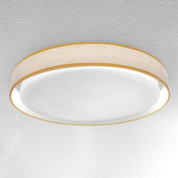 Brilagi - Lampada da soffitto dimmerabile KIANIA LED/48W/230V 3000-6500K + DO