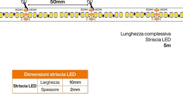 Striscia LED CCT Bianco Variabile 24V 24W/m Professionale - IP20 - 5 metri