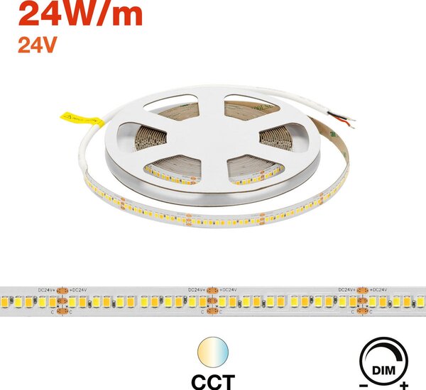 Striscia LED CCT Bianco Variabile 24V 24W/m Professionale - IP20 - 5 metri