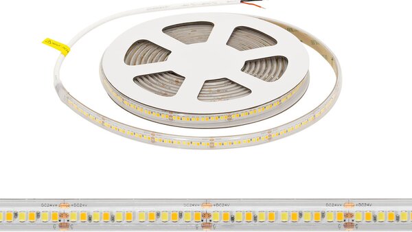 Striscia LED CCT Bianco Variabile 24V 20W/m Professionale - IP67- 5 metri