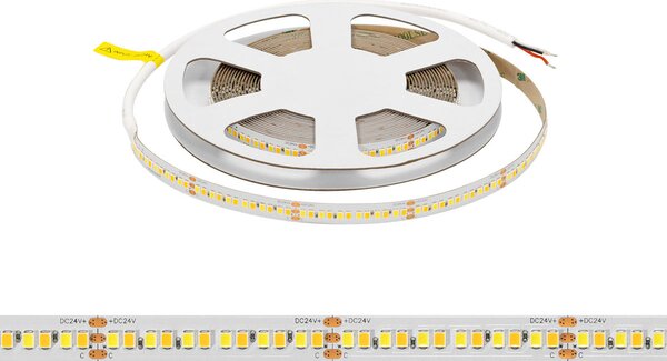 Striscia LED CCT Bianco Variabile 24V 24W/m Professionale - IP20 - 5 metri