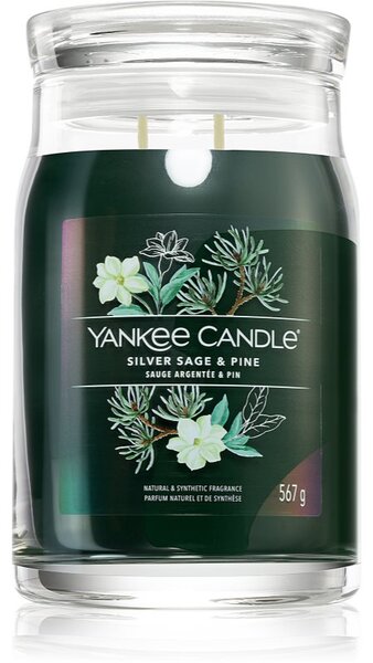 Yankee Candle Silver Sage & Pine candela profumata Signature 567 g