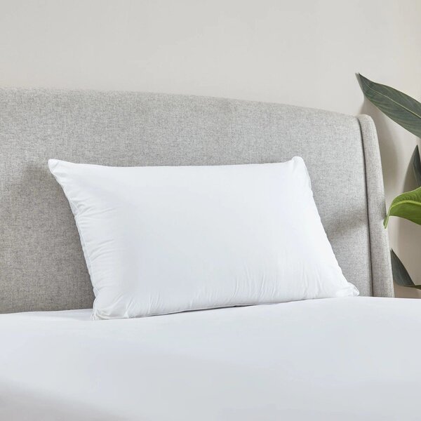 Cuscino con imbottitura in memory foam 48x74 cm Luxury Multi Relax – Catherine Lansfield