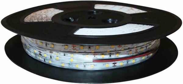 Striscia LED 50m colore freddo IP20 Eko-light EKPL427