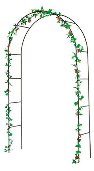 Arco per piante rampicanti - Garden Pleasure